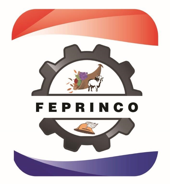 FEPRINCO solicita protección de la industria y producción