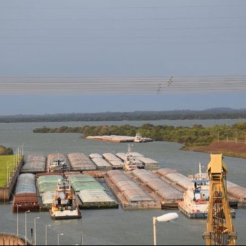 Implementación del nuevo formulario del Certificado de Origen (CO) MERCOSUR con fines de exportación